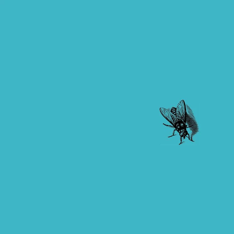 Fly
