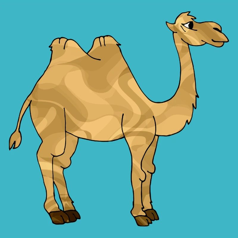 Camel