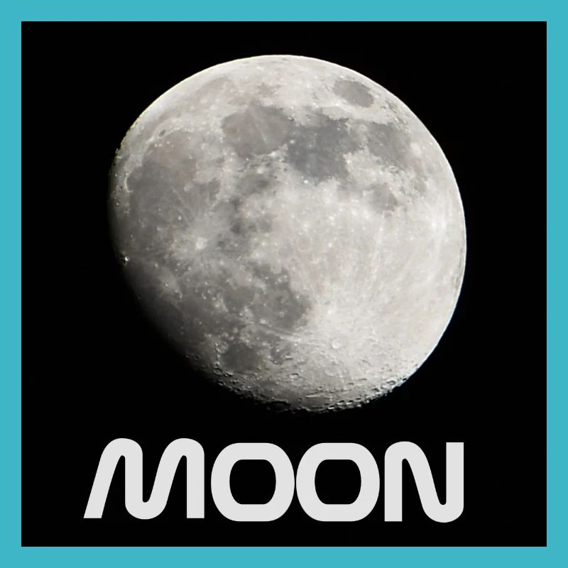 Moon moon