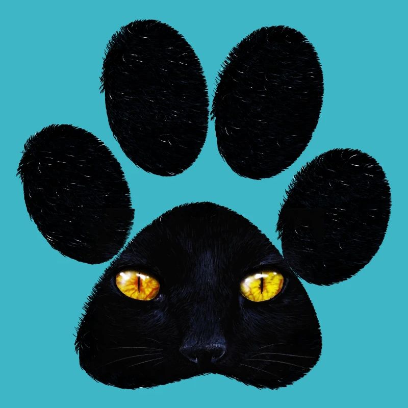 Patte de chat