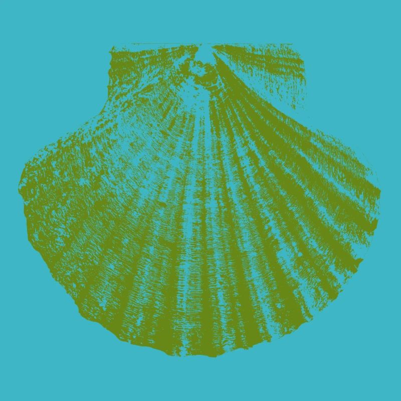 Pétoncle vert - Chemin de Saint-Jacques - pèlerin