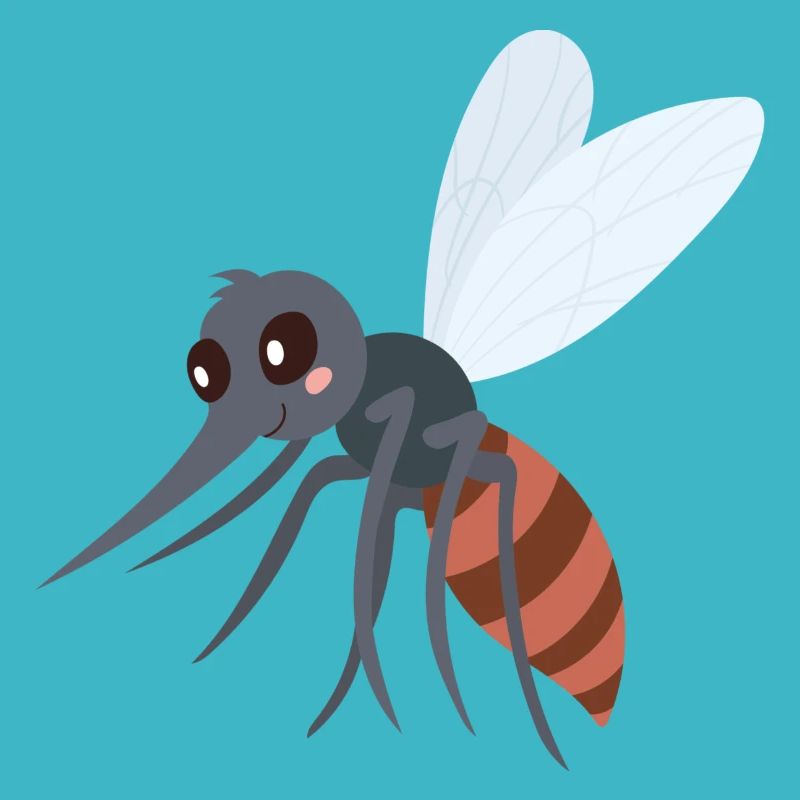 mosquito