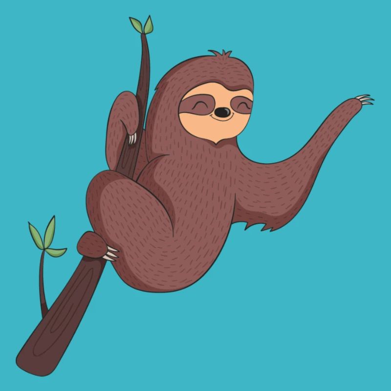 Procrastinating Sloth | Sleeping sloth
