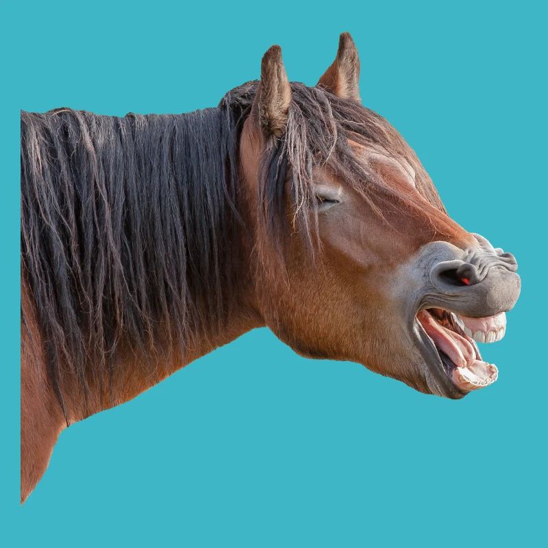 Laughter