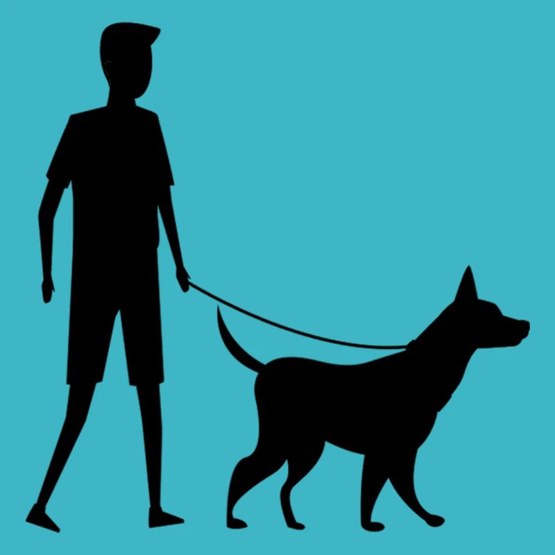 Walk with my Dog Walk