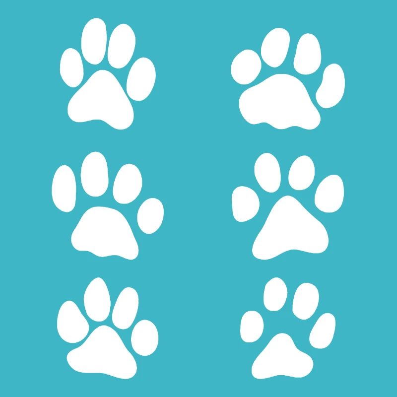 paws