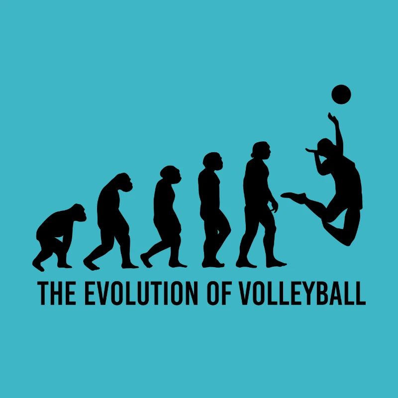 Volleyball Evolution Volleyballer Trainer Coach