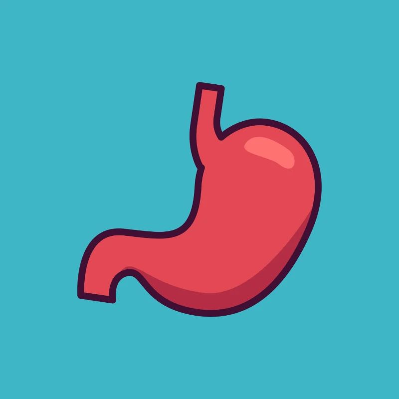 Bauch Magen