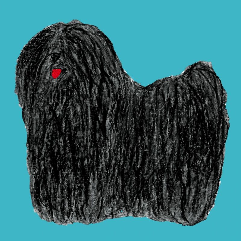 Puli - black rasta dog