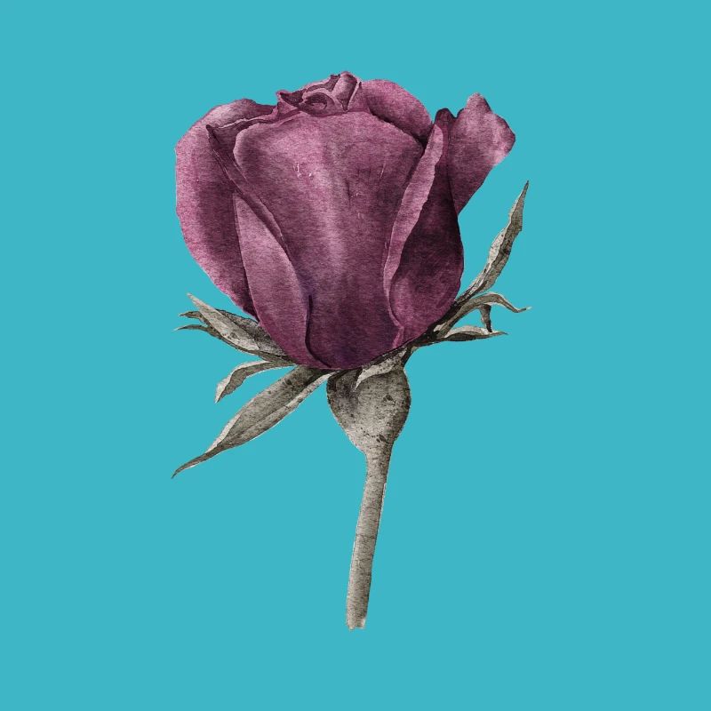 Rose Blume