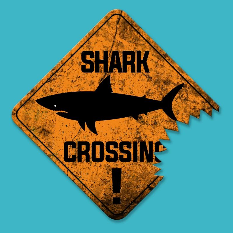 TRAVERSEMENT DE REQUINS