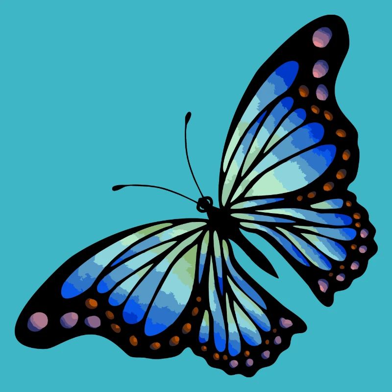 Schmetterling