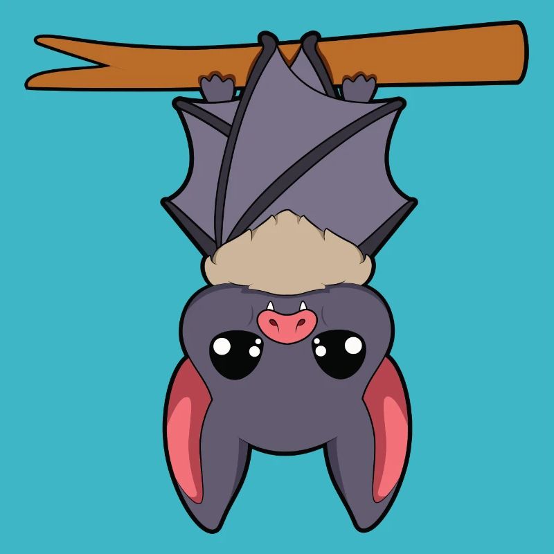 Fledermaus