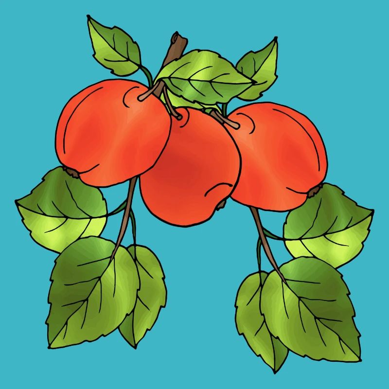 Äpfel
