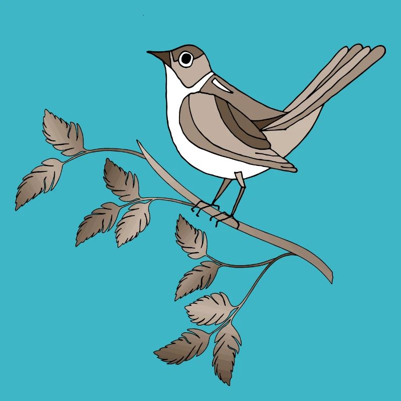 Vogel