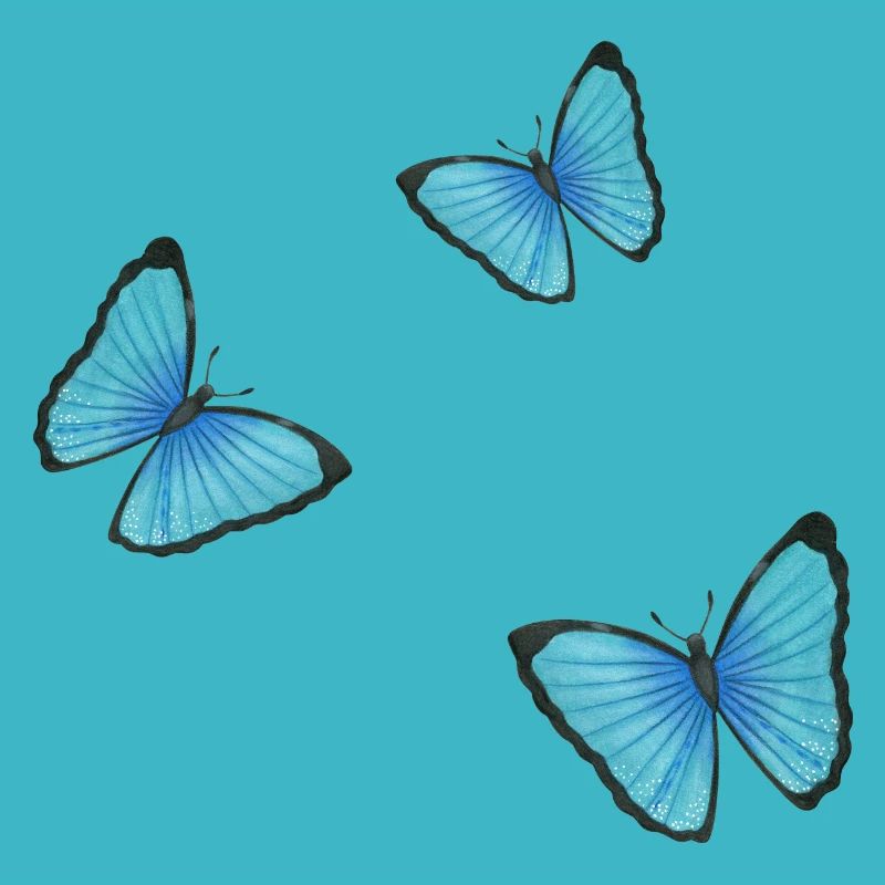 blue butterflies