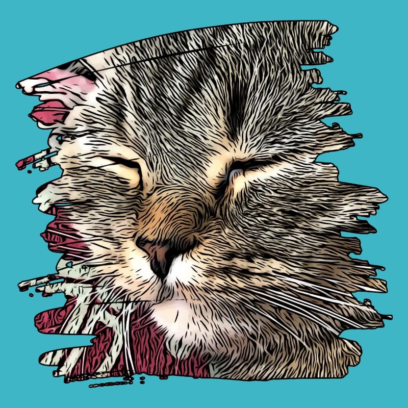 Katzengesicht 6