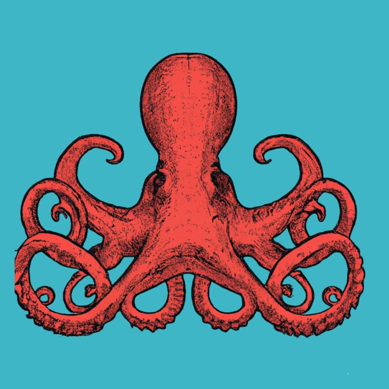 octopus illustration