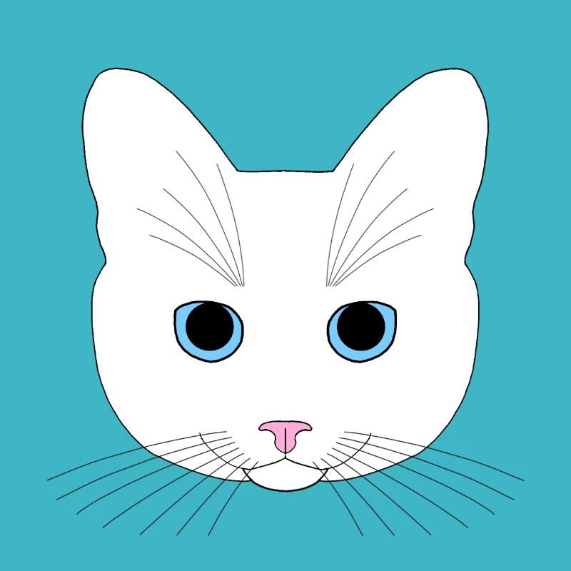 Weiße Katze