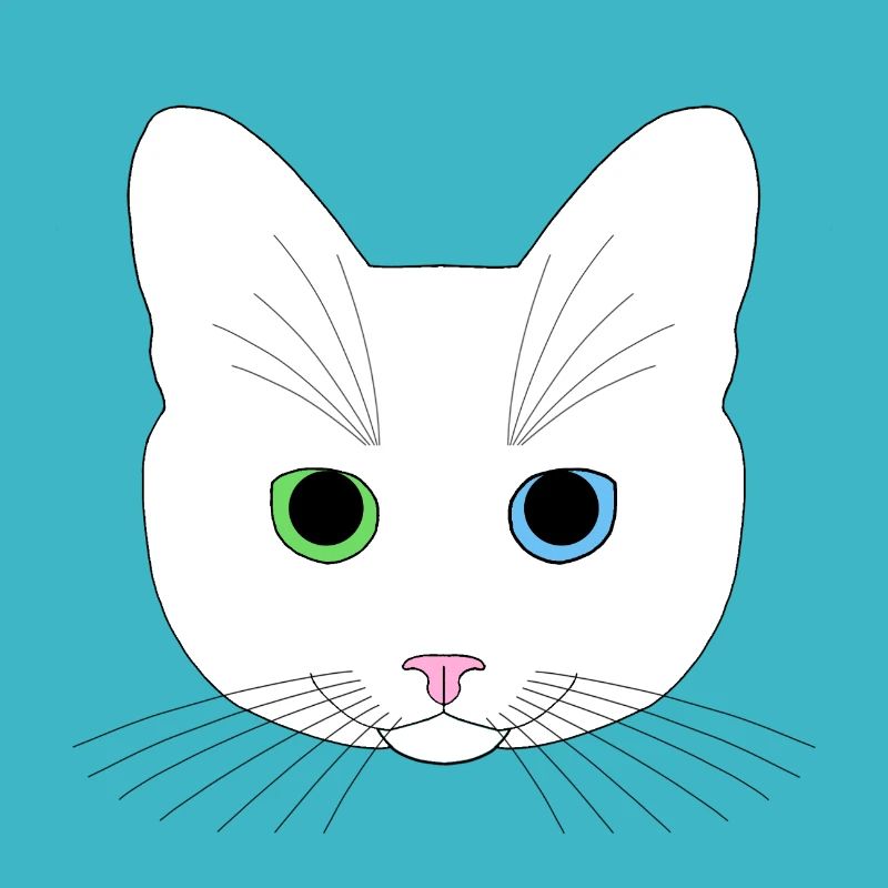 Chat blanc yeux vert bleu
