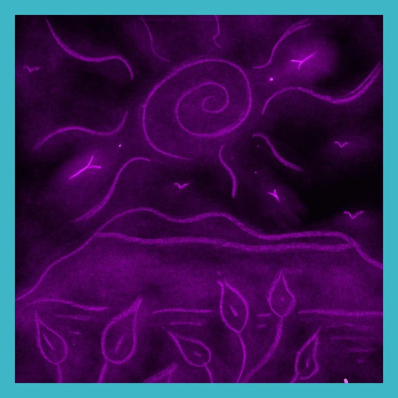 PAYSAGE NOCTURNE VIOLET