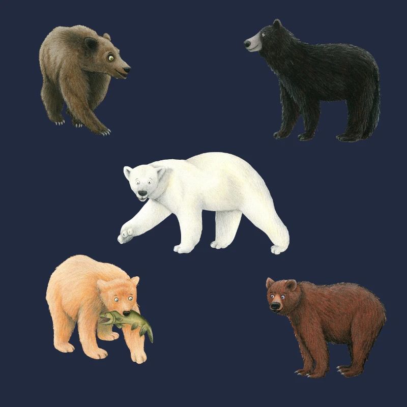 Bären