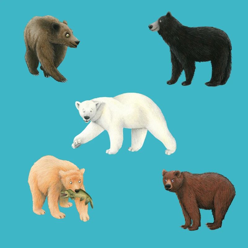 Ours