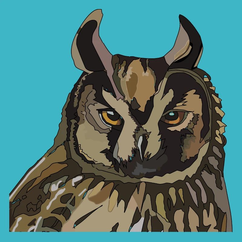 Owl Head