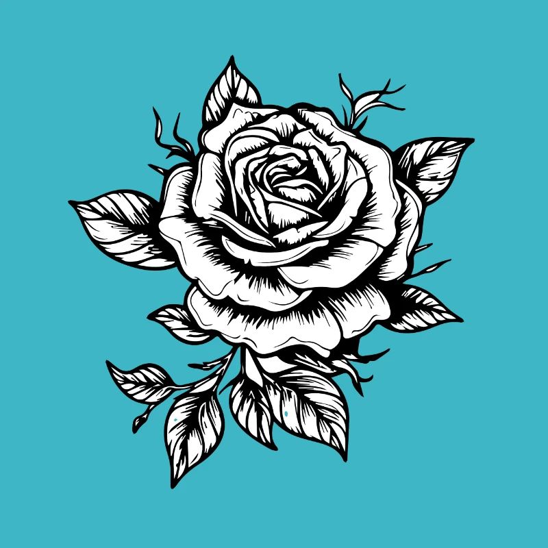 Rose d’été - Rose de la Saint-Valentin