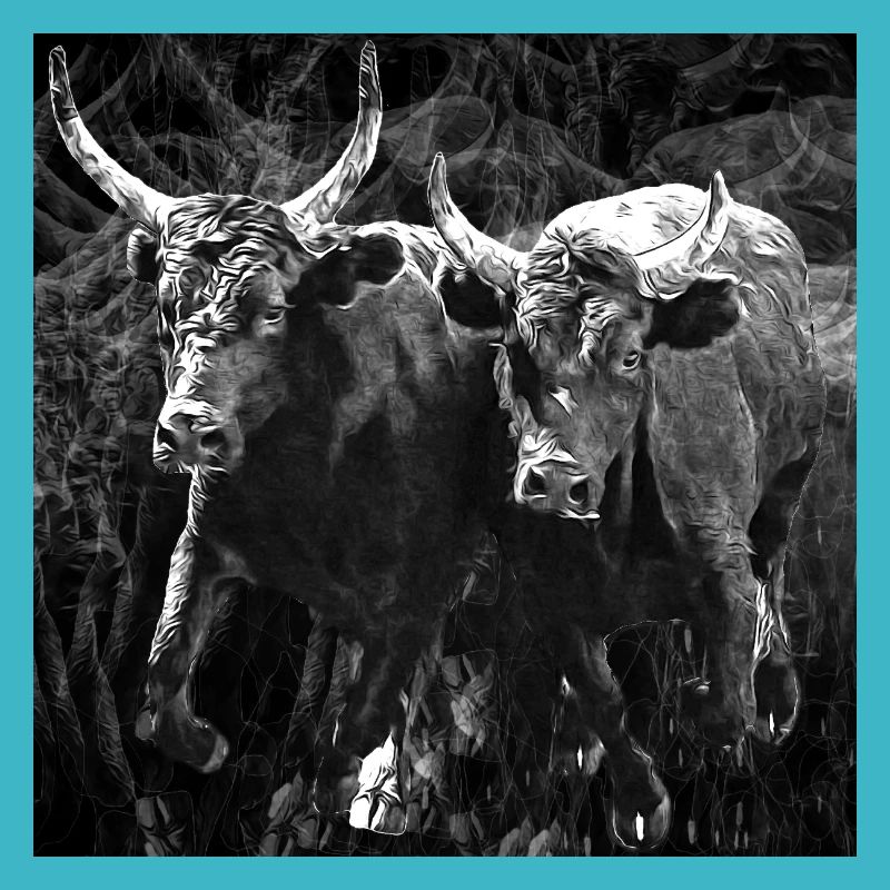 duo toro grunge
