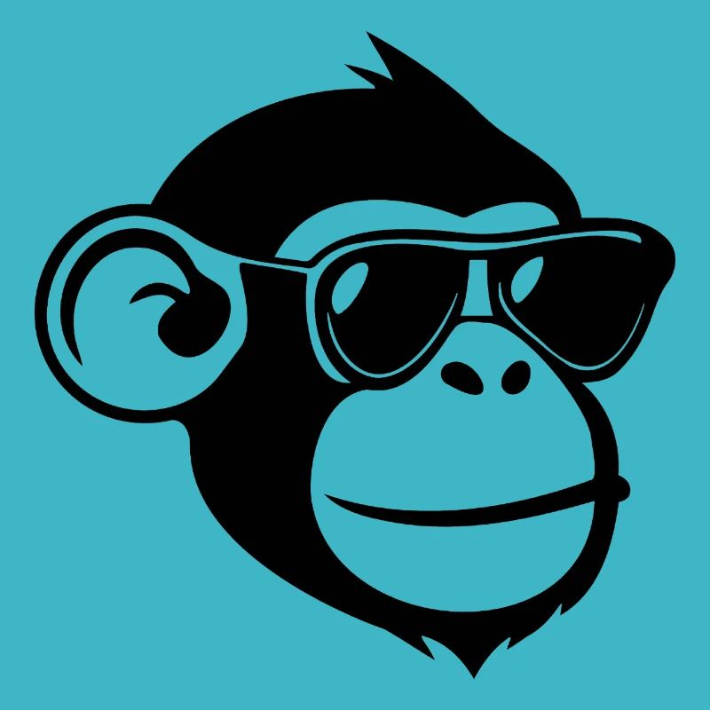 Singe Singe Visage de Singe Jungle