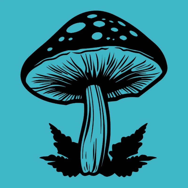 Champignon Cueilleur de champignons Champignons Champignons