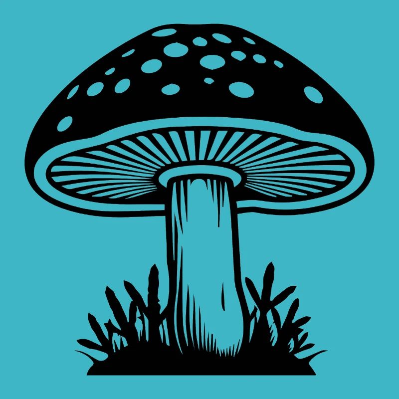 Champignon Cueilleur de champignons Champignons Champignons