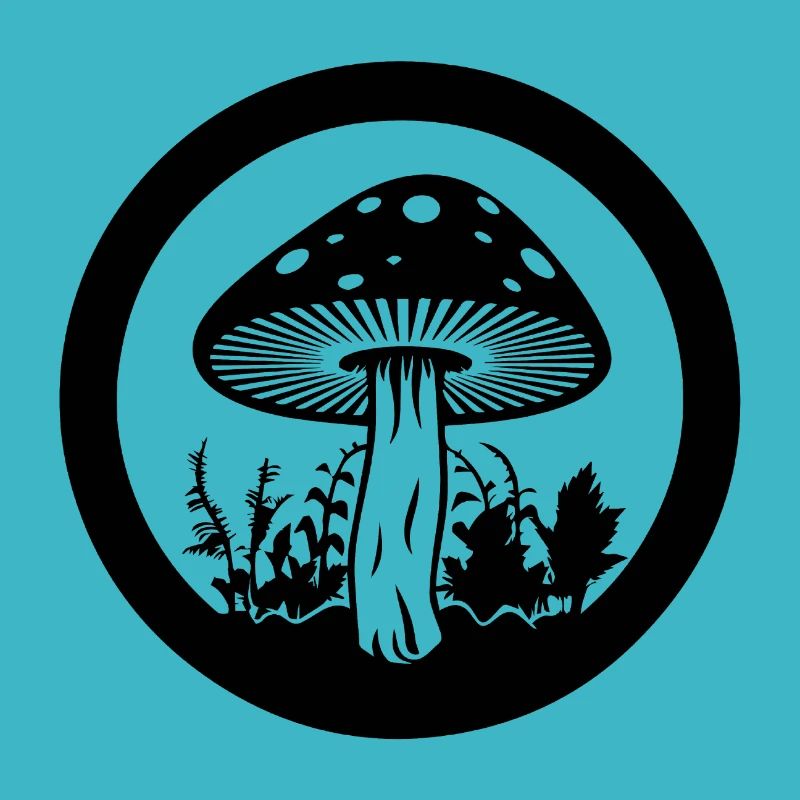 Champignon Cueilleur de champignons Champignons Champignons