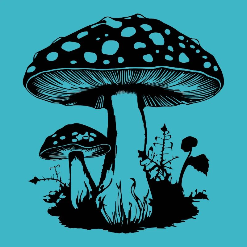 Champignon Cueilleur de champignons Champignons Champignons