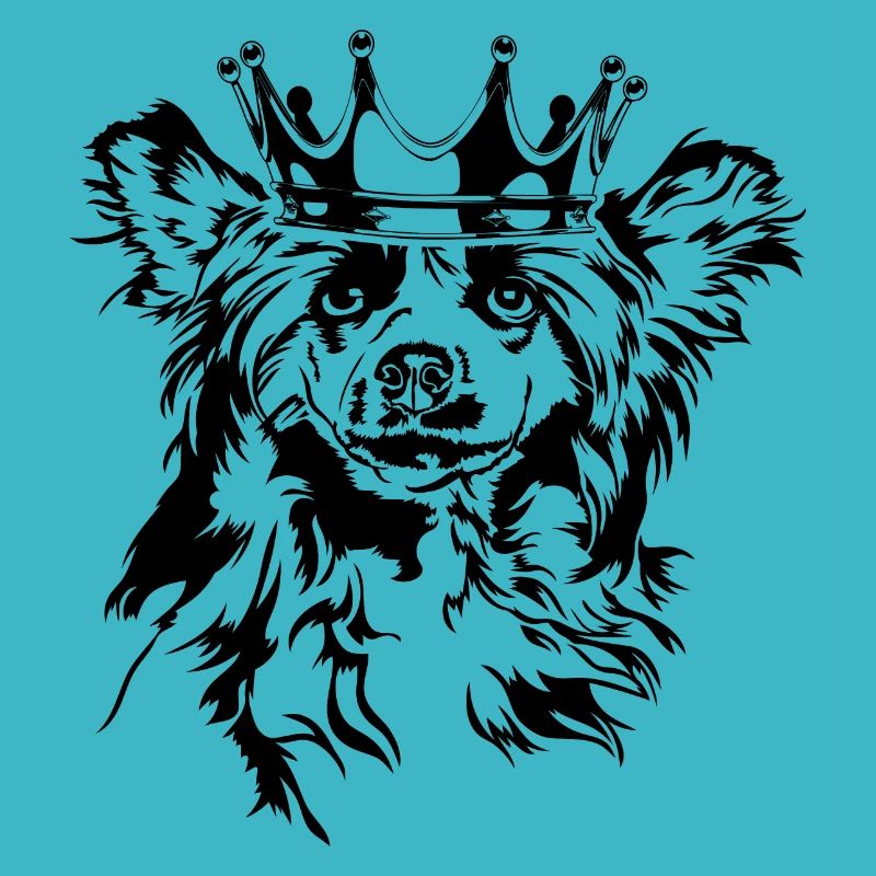 Chinese Crested Dog Krone Hund Hunde Wilsigns