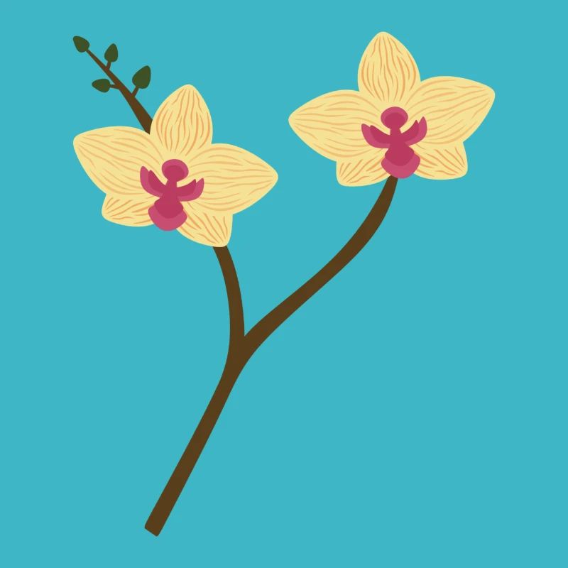 Gelbe Orchidee