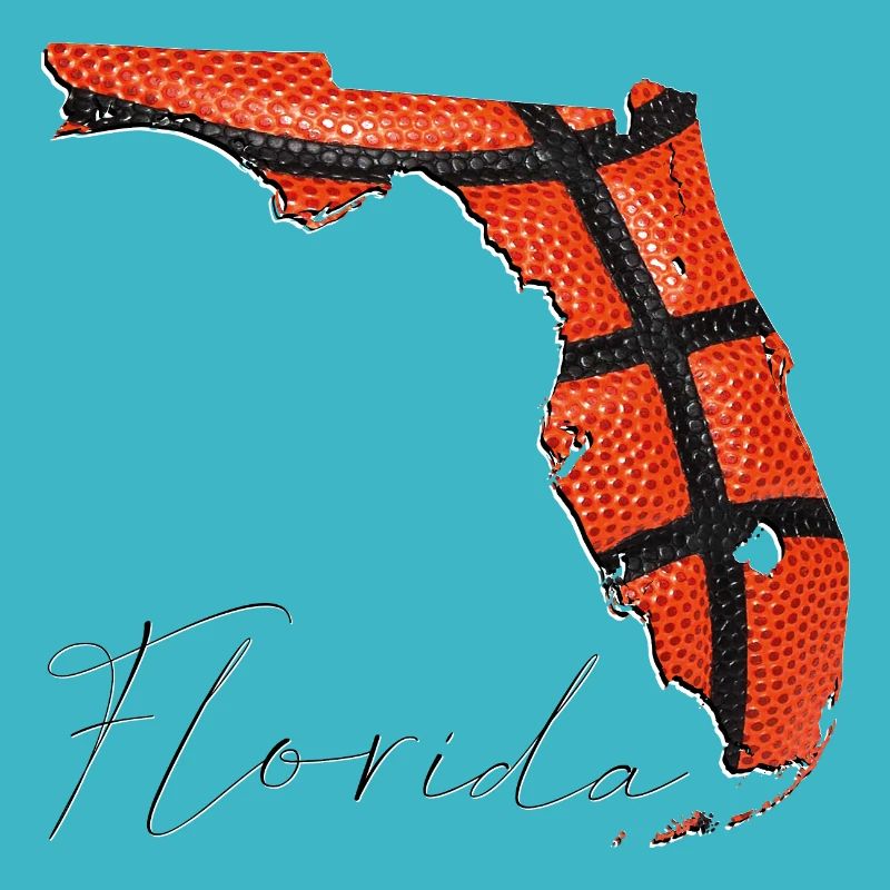 Real Basketball in Florida State Map FL