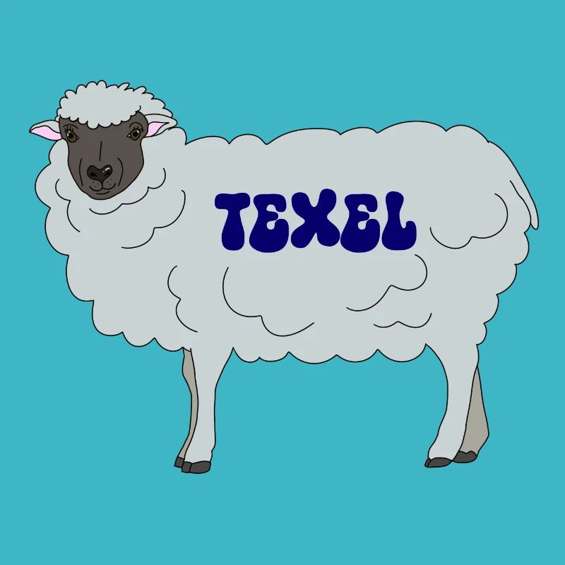 Texel Schaf