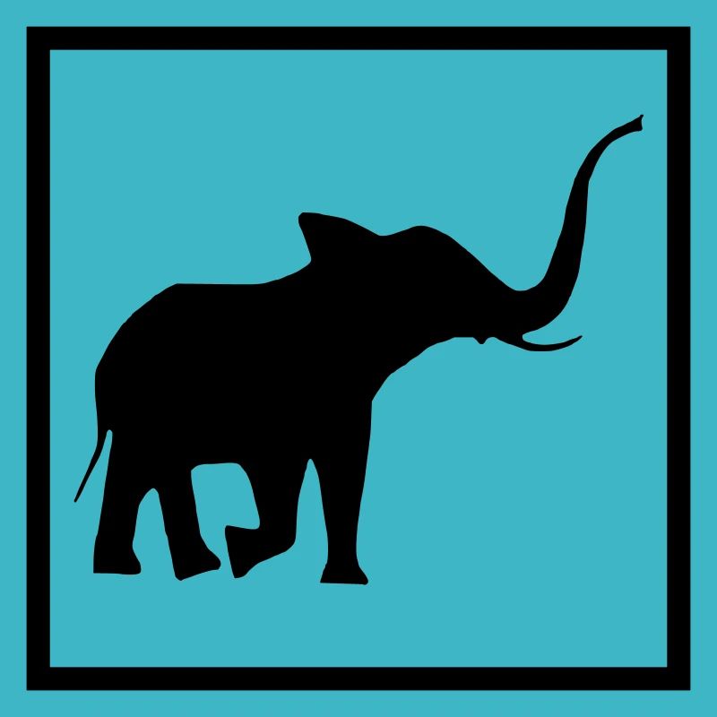 Elephant Animal Zoo Giraffe Monkey Fun Attention