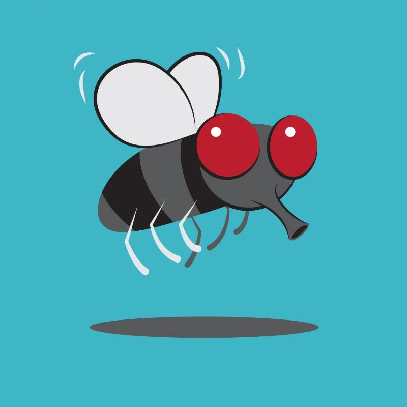 Conception drôle d'insecte mouche domestique