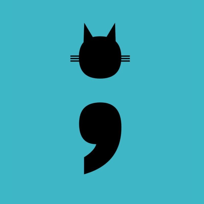 Semi-colon chat chat point-virgule