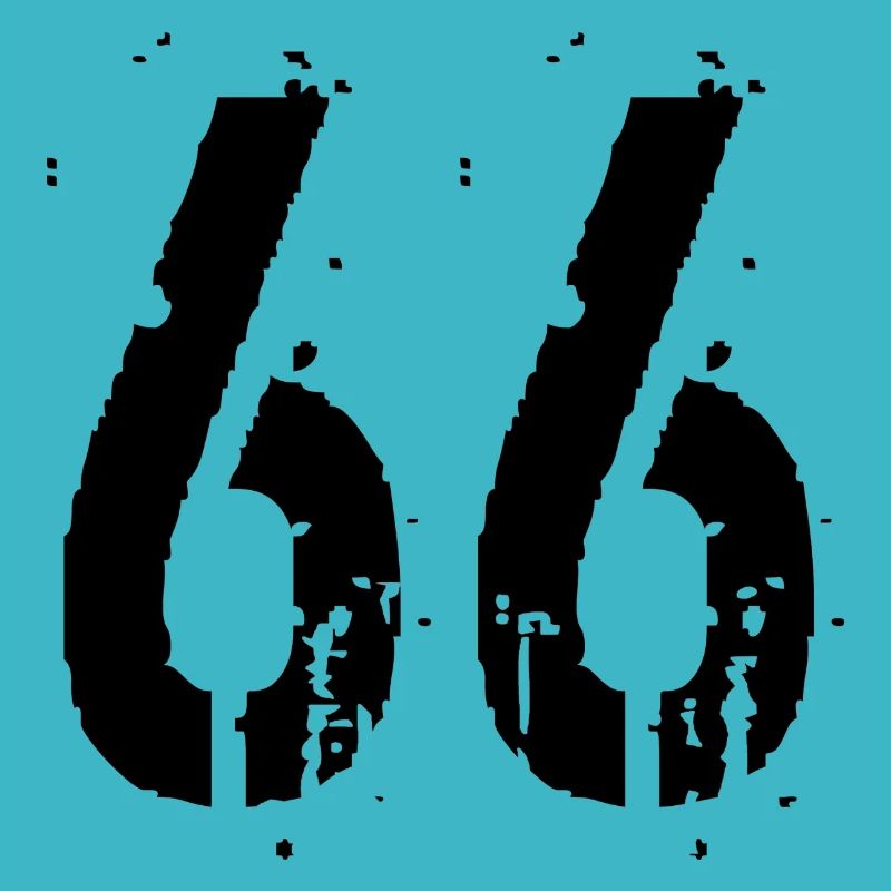 Nummer 66