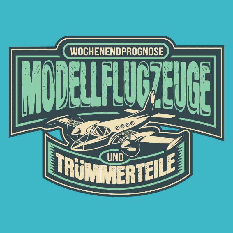 Model aircraft RC Model Model Model Pilot