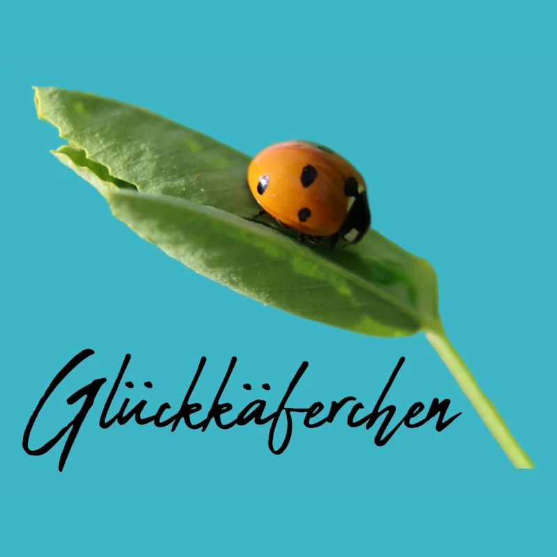 Lucky Beetle Ladybug Lucky Charm