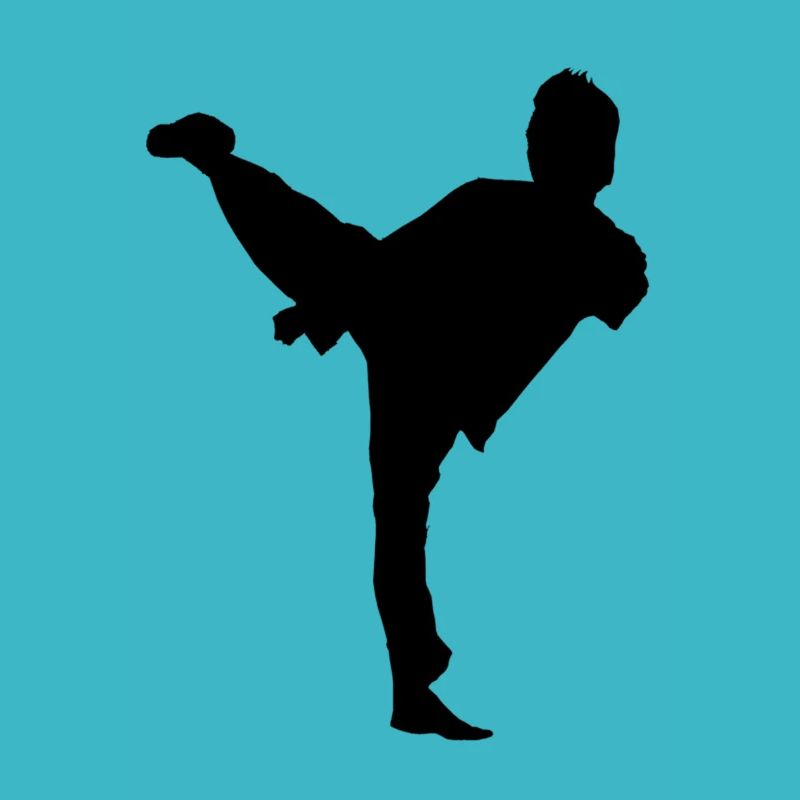 Bruce Lee Shadow Sidekick