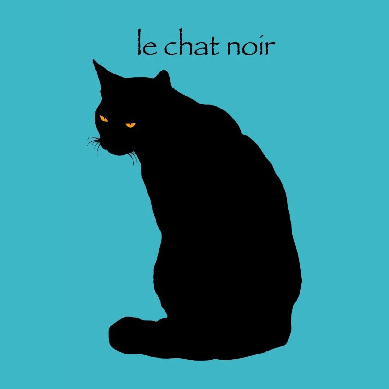 le chat noir
