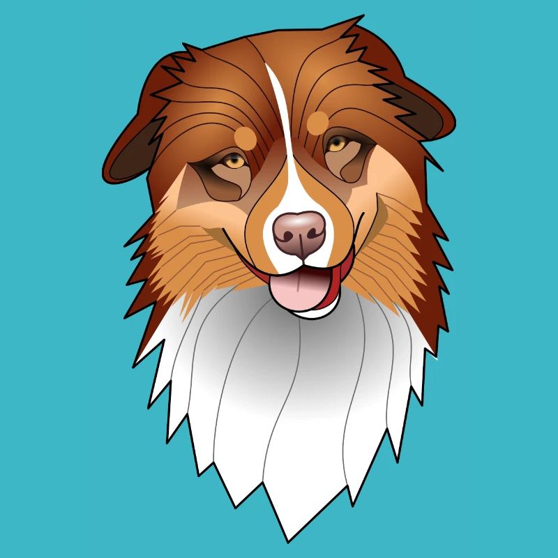 Australian Shepherd - tricolor red