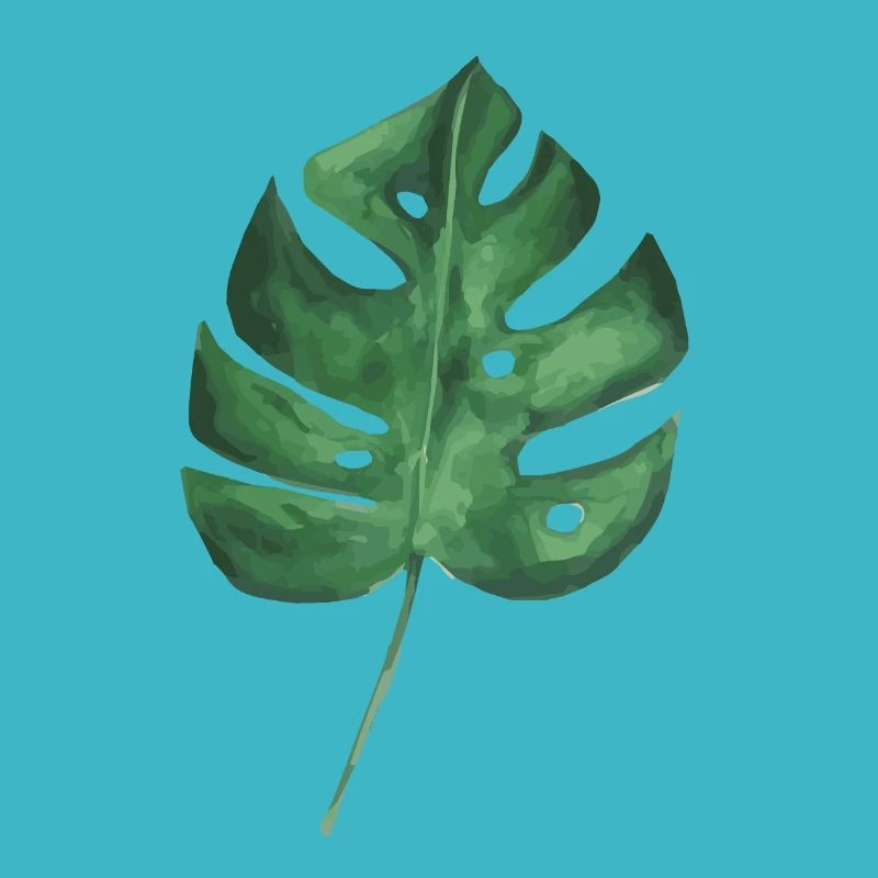 Großes grünes Blatt einer Monstera