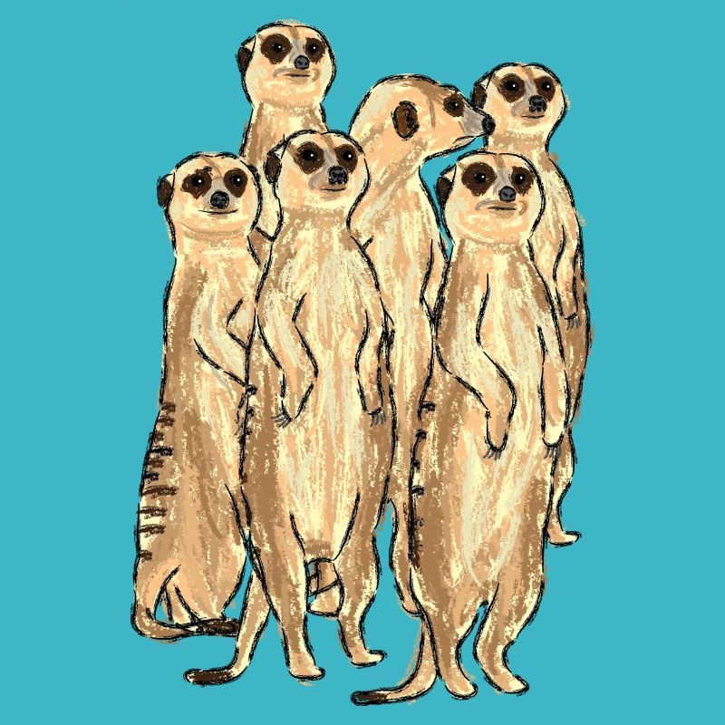 Erdmännchen / Meerkat Design